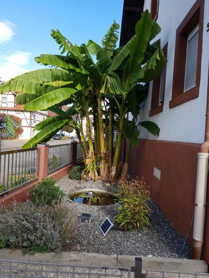 Appartement Marielies-Urlaubsstube à Meißenheim Extérieur photo